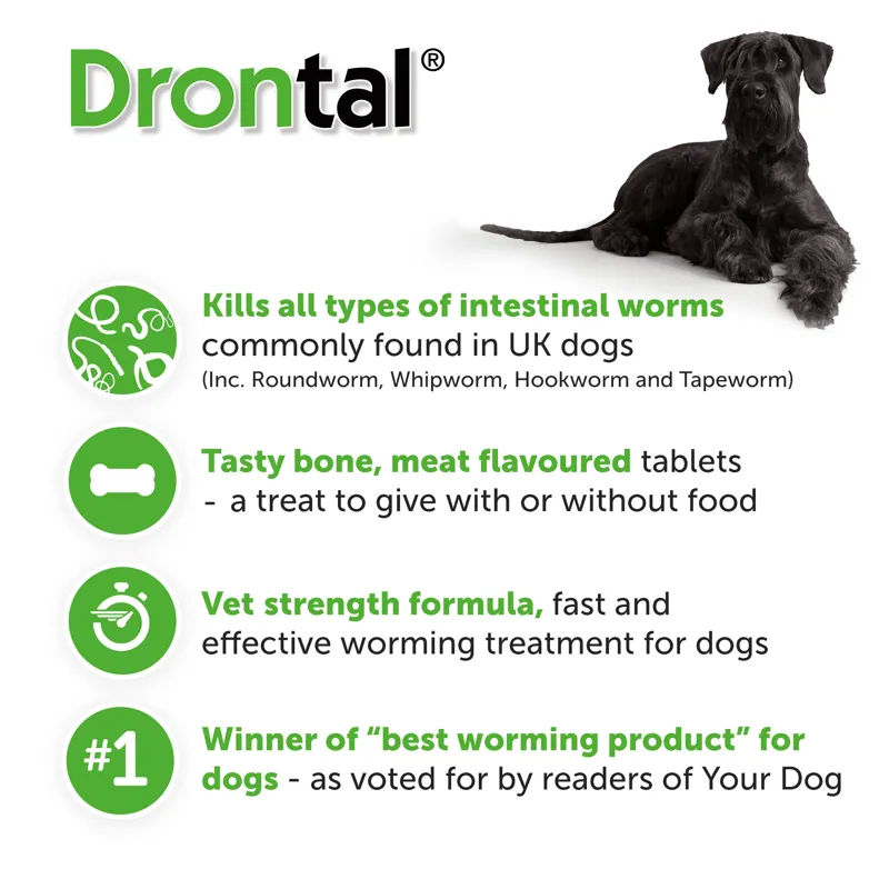 Drontal Dog Tasty Bone Worming Tablets